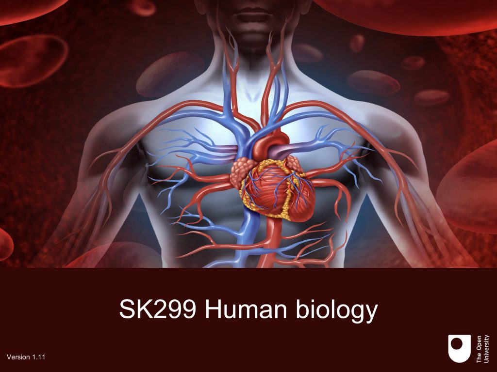 Augmented Reality App for Students Studying SK299