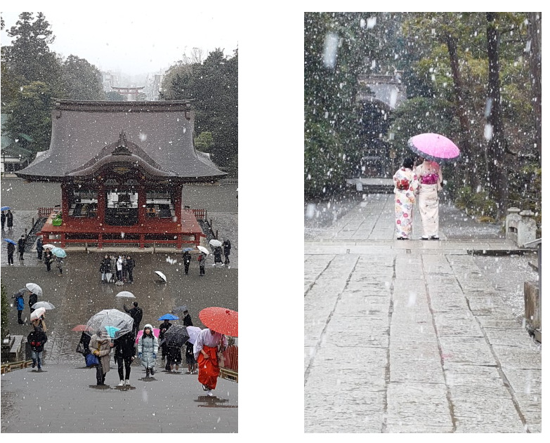 Tsurugaoka Hachiman-gū Shinto Shrine