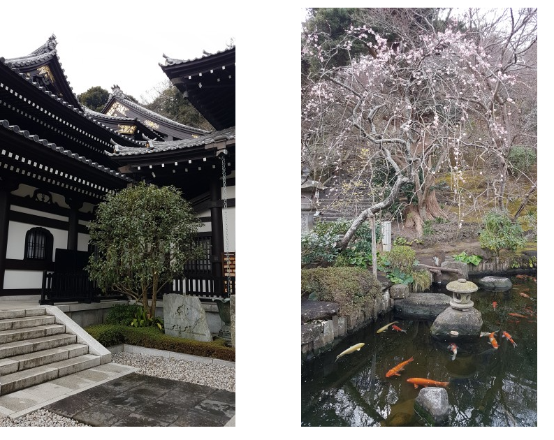 Hasendera Buddist Temple
