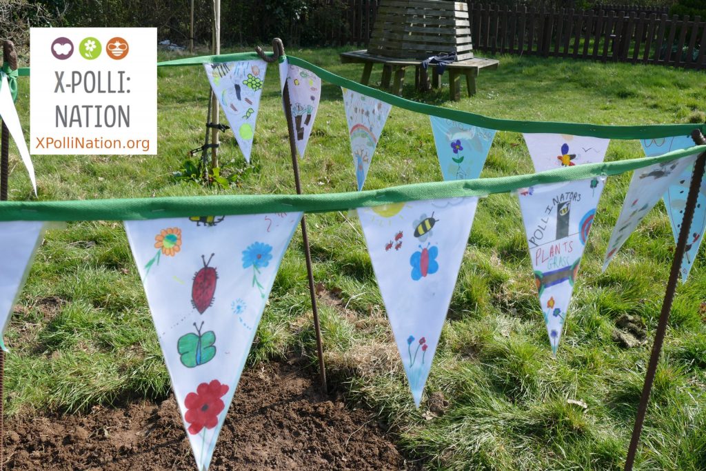 New AI-enhanced learning about pollinators during Bees Needs Week