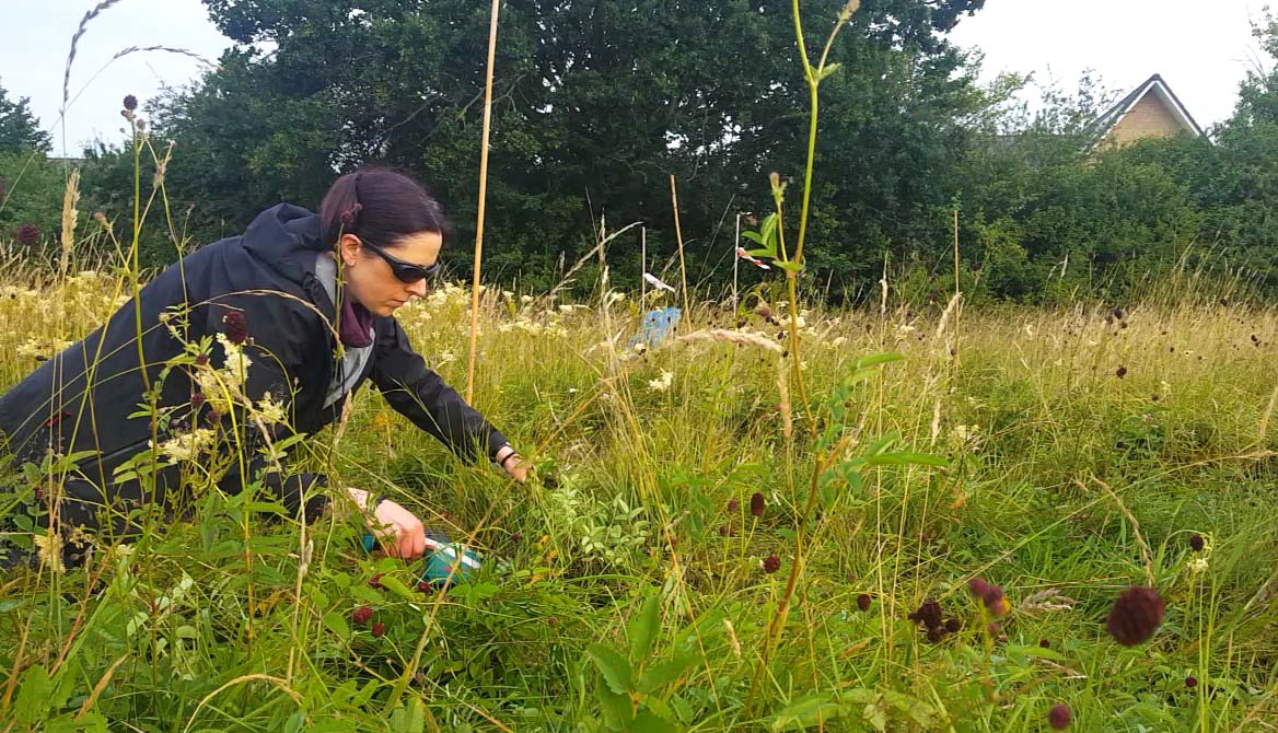 Woman wearing sunglasses and a dark jacket crouches in a grassy meadow with tall wildflowers, appearing to work on vegetation.