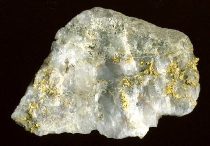 Rough specimen of quartz or light-colored host rock embedded with visible pockets and veins of bright yellow native gold against a dark background.