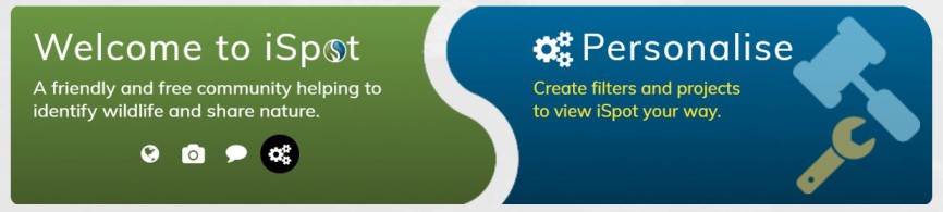 Feature image Banner for the Personalise website featuring a modern design and vibrant colors, promoting customization options.