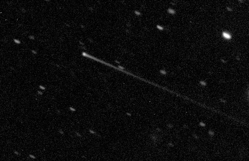 One of the images obtained by the Comet Chaser schools using the 2-metre Faulkes Telescope North, showing the impressive tail of active asteroid 2005 QN173.